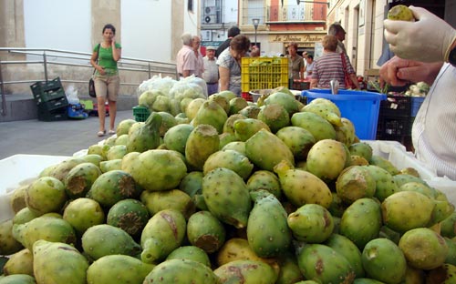 higosdetuna_01_puertosantamaria